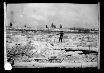 Sowing tree seed broadcast at Lake Clear