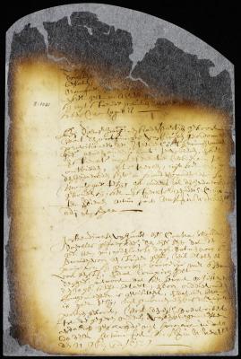 Order for the payment of Resolved Waldron's costs against Hans Vos and wife