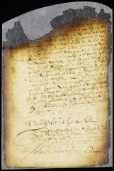 Order granting a petition of Augustyn Heerman