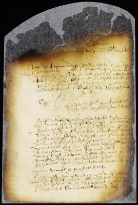 Appointment of orphan masters of New Amsterdam
