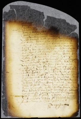 Order of the widow of William Harck to render an account to Robert Terry, John Thouson, William Palmer, and John Coo of cattle belonging to Thomas Farrington