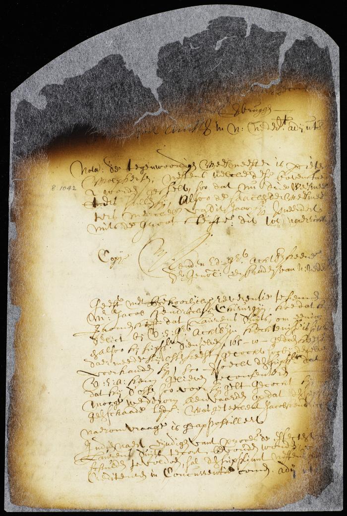 Appointment of orphan masters of New Amsterdam