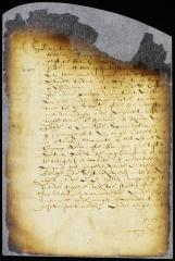 Petition of Augustyn Heerman for permission to make a voyage to the Dutch and French islands in the West Indies