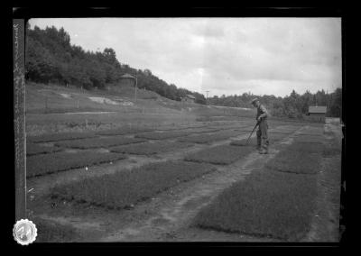 Nursery at Saranac Inn Station