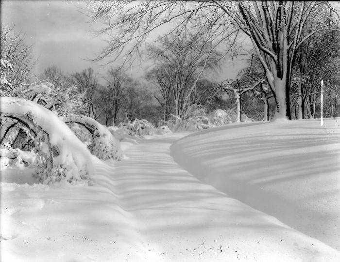 Snow Scene, Washington Park