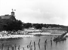 Ducks in water, duck farm, Speonk, N.Y.