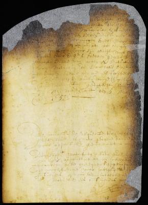 Order establishing a tariff of fees to be received by David Provoost [Copy of Volume 6:38a]