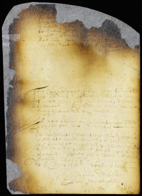Order allowing Harry Brasier to trade and sell his property in New Amsterdam, but not to settle there [Copy of Volume 6:37b]