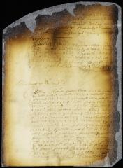Minute of the attendance on the council of William Bount (Bowne) stating his disapproval of the election of magistrates and pledging himself to abide by the patent [Copy of Volume 6:62]