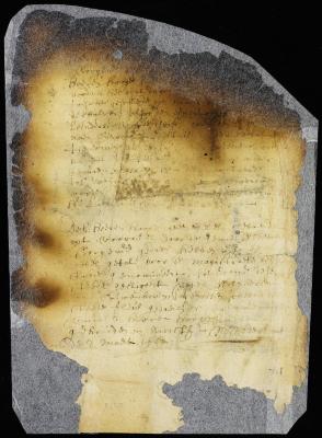 Appointment of P. Wolpherts van Couwenhoven as city surveyor [Copy of Volume 6:20]