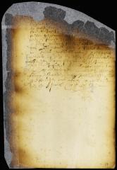 Appointment of fire wardens for the city of New Amsterdam [Copy of Volume 6:31a]