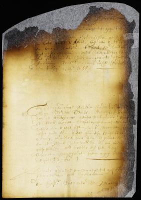 Order on a petition of Jan Hendricksen Steelman for a patent for a piece of land in Mespath purchased by him from Francis Douthey [Copy of Volume 6:53a]