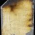 Appointment of P. Wolpherts van Couwenhoven as city surveyor [Copy of Volume 6:20]