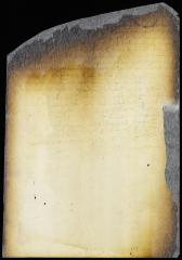 Petition of Adriaen Blommaert for a writ of appeal from a judgment by the court of New Amsterdam in favor of John la Montagne, jr. [Copy of Volume 6:117b]