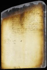 Order on a petition of Abraham de Lucena and others, praying for a grant of land for a Jewish burying ground in New Amsterdam [Copy of Volume 6:68b]