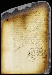 Call for volunteers for the expedition against the Swedes [Copy of Volume 6:78]