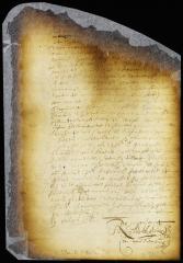Resolution to impress ships in the harbor for the expedition against the Swedes [Copy of Volume 6:79a]
