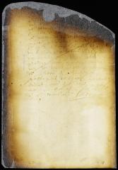 Resolution forbidding the sailing of vessels in port until the arrival of the Ballance and the departure of any passengers able to bear arms until the present crisis is passed [Copy of Volume 6:96]