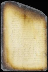 Opinion of the director-general on the propositions submitted to the council [Copy of Volume 6:151]