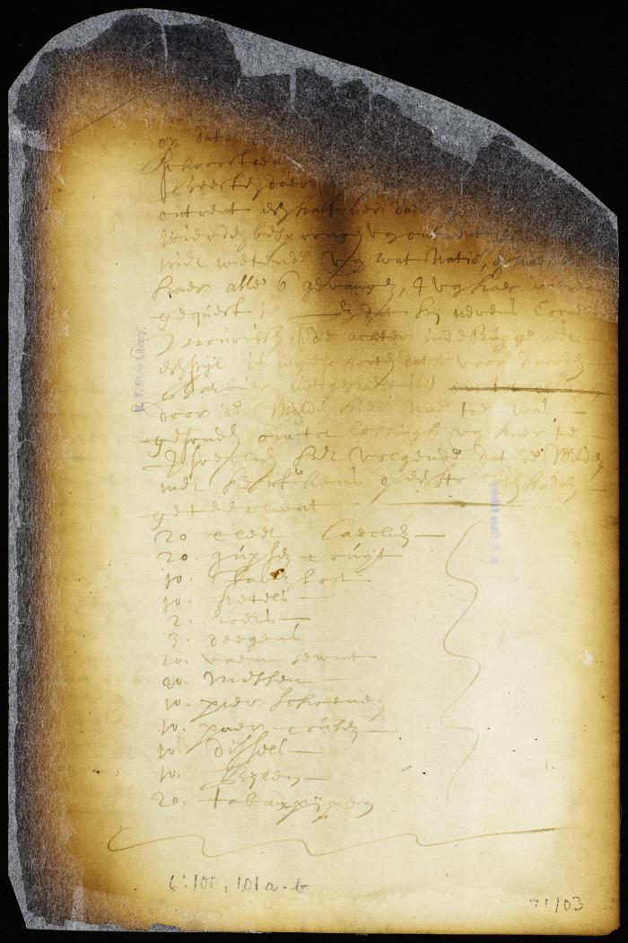 Minute of the appearance before the council of Stephen Necker [Copy of Volume 6:100]