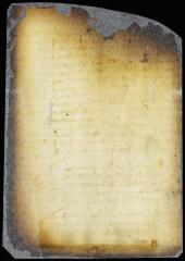 Propositions submitted by the director-general to the council [Copy of Volume 6:149]