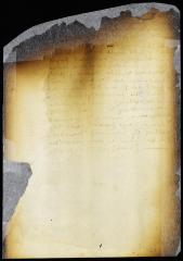 Message of the Indians, sent by Claes Jansen Ruyter and Peter Wolphertsen [Copy of Volume 6:116b]