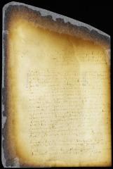 Petition of Peter Taelman for a writ of appeal from a judgment of the court of Flushing, in favor of William Pidgeon [Copy of Volume 6:219b]