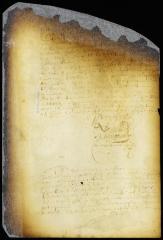 Judgment affirming the decision of the court of Flushing in the case of Peter Taelman vs. William Pidgeon [Copy of Volume 6:237]