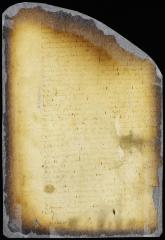 Ordinance for the formation of villages, and against straw roofs and wooden chimneys [Copy of Volume 6:226b]