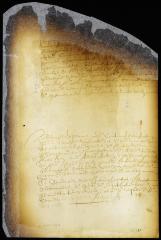 Order dismissing appeal lodged by Adriaen Blommert [Copy of Volume 6:193a]