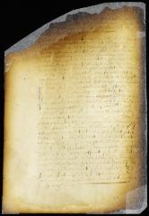 Petition of the burgomasters and schepens of New Amsterdam for the privilege of nominating their successors [Copy of Volume 6:223]