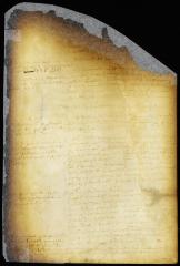 Questions submitted by the director-general to the council with answers [Copy of Volume 6:236]