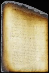 Writ of appeal in the case of Peter Dircksen Waterhond vs. David Ferera [Copy of Volume 6:215]