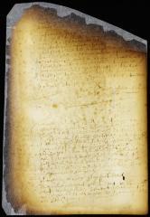 Further order in the case of Anthony vs. Verplanck [Copy of Volume 6:217b]