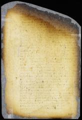 Ordinance establishing an excise on slaughtered cattle [Copy of Volume 6:229]