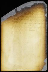 Order for the issuing of a writ of appeal; Peter Dircksen Waterhond vs. David Ferera [Copy of Volume 6:214]