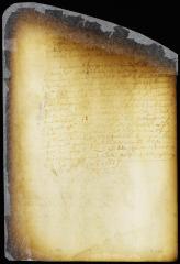 Order on a remonstrance of the brewers of New Amsterdam complaining of the price at which they are obliged to sell beer [Copy of Volume 6:182]