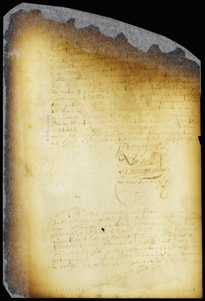 Judgment affirming the decision of the court of Flushing in the case of Peter Taelman vs. William Pidgeon [Copy of Volume 6:237]