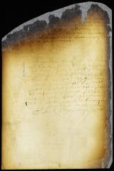 Minute of the seizure of tobacco shipped by Jacob Cohen without a permit and on which the duties have not been paid [Copy of Volume 6:194]
