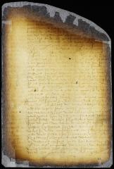 Answer of Peter Dircksen Waterhond, skipper of the ship New Amsterdam, to the complaint of the fiscal for smuggling [Copy of Volume 6:201]