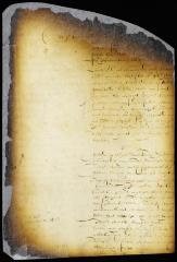 Advice of Fiscal Van Tienhoven on the propositions submitted by the director-general to the council [Copy of Volume 6:165]