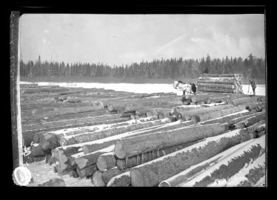 Log dump on Elen Lake,  Hamilton Co., N.Y.