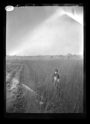 Children in a farm field