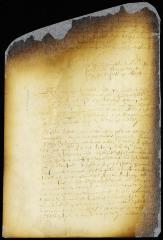 Votes of the director and council in the case of Allard Anthony vs. Abraham Planck, guardian of Gelyn Verplanck [Copy of Volume 6:270b]