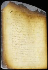 Paper read by director Stuyvesant to the council [Copy of Volume 6:253]