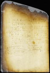 Order granting Michiel Jansen's petition [Copy of Volume 6:270a]