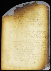 Advice of the council to remove the settlers on Staten Island to New Utrecht [Copy of Volume 6:256]
