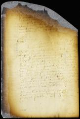 Proceedings in the suit between Egbert van Borsum and Warnaer Wessels [Copy of Volume 6:280b]