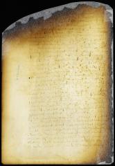 Indictment of John Smith for killing hogs and obtaining goods under false pretenses [Copy of Volume 6:247]