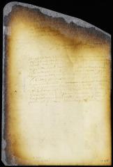 Order on the foregoing suit between Warnaer Wessels and Egbert van Borsum [Copy of Volume 6:305]